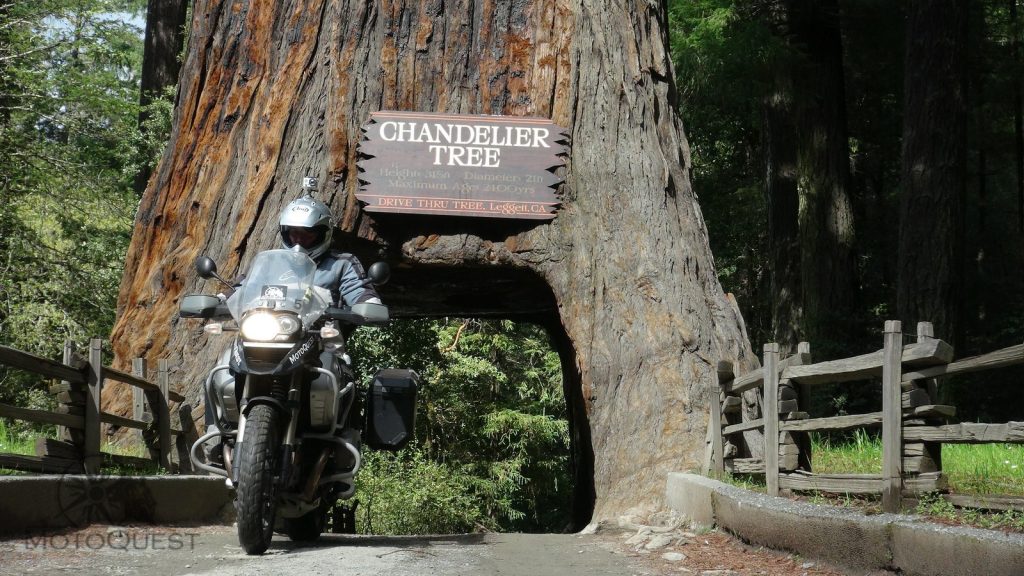 PCH South Adventure at the Chandelier Tree