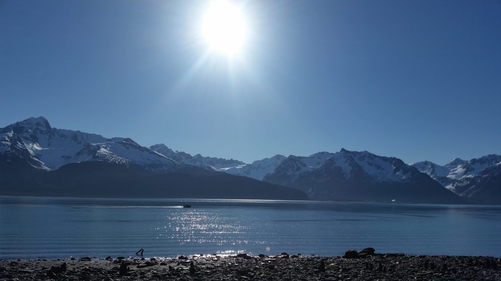 Kenai Seward Sunshine