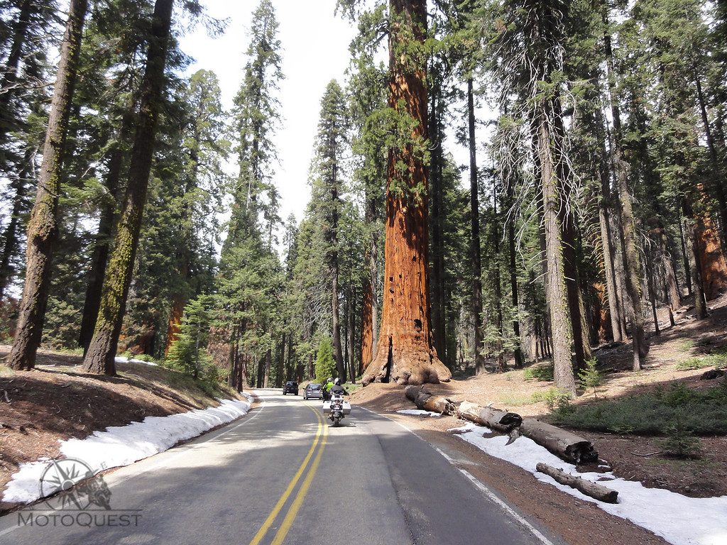 MotoQuest RedWoods