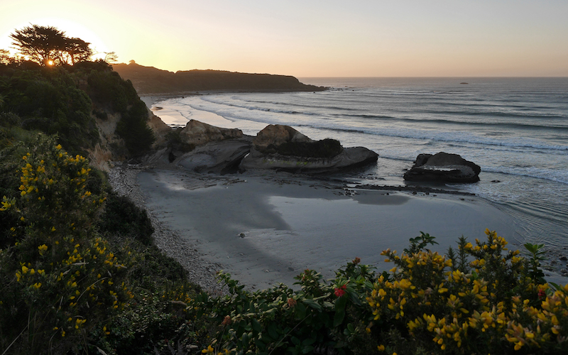 MotoQuest New Zealand Coastline