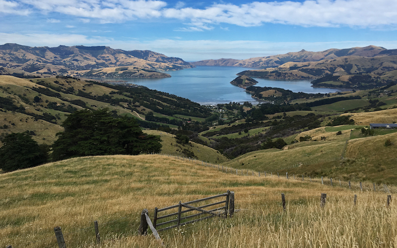 MotoQuest New Zealand Scenery